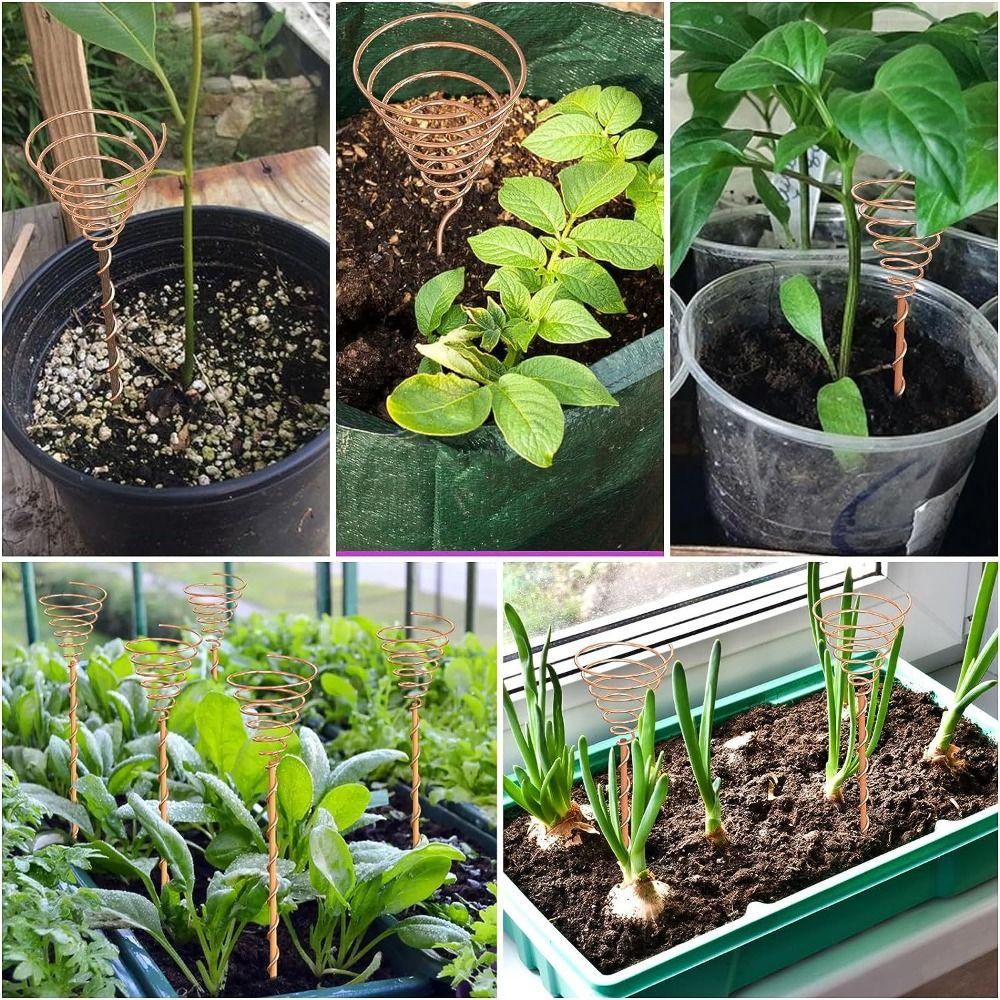 Wire Coil Gardening Copper Coil Antennas Wood Rod Plant Support Frame  Vegetables