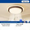 Plafoniere și lustre – Lustre și lămpi cu pandantiv