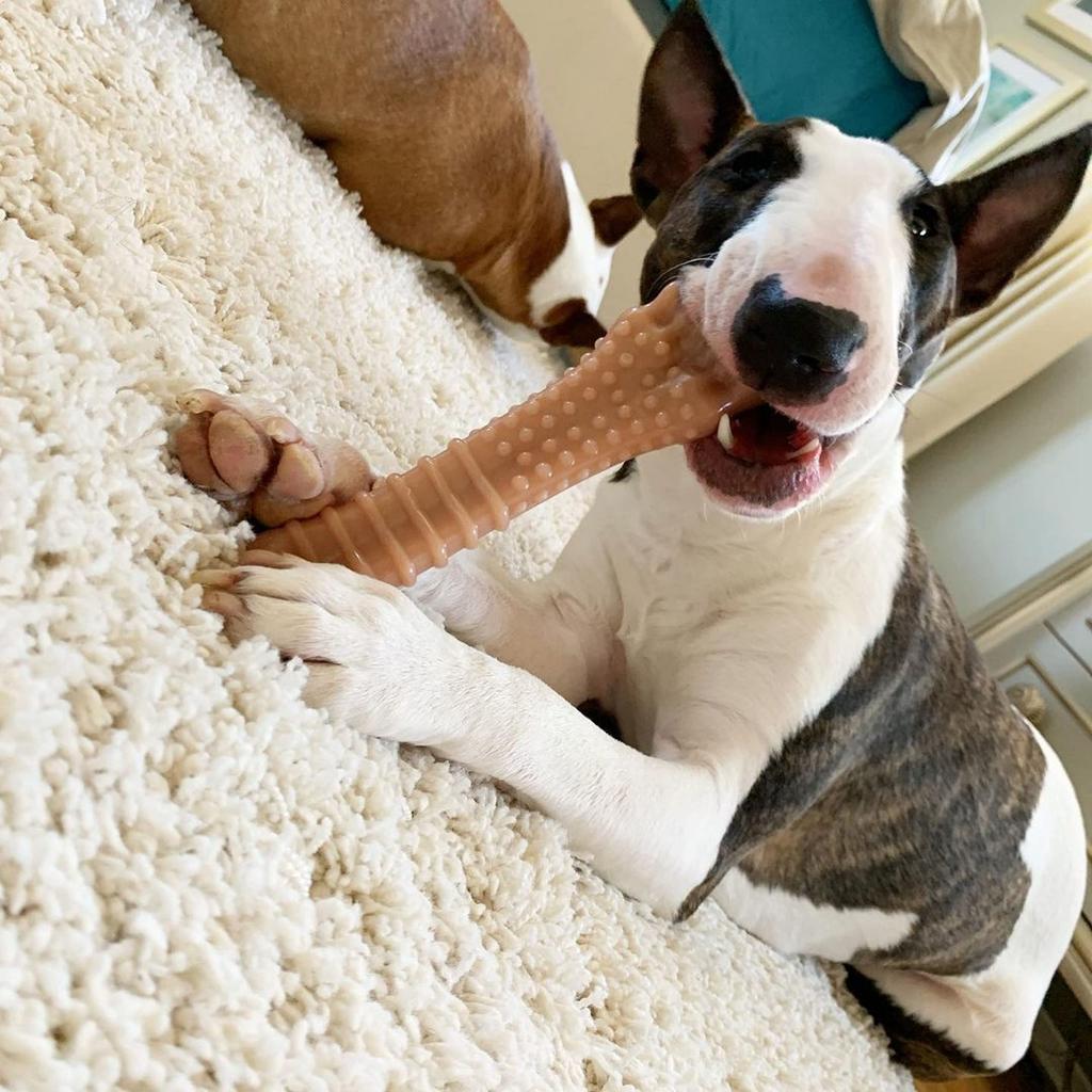 Nylabone Durachew Bacon Flavor Super Size