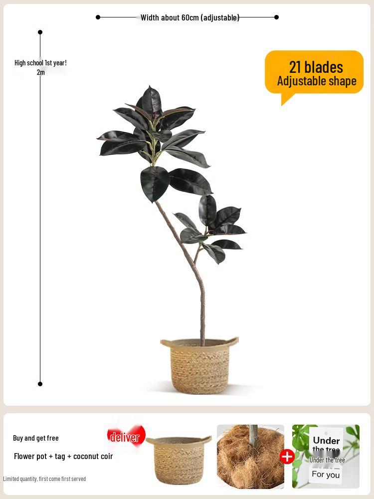 Luxurious Black Gold Ficus Elastica Artificial Tree: Indoor Ornament and Floor Decoration