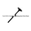 AT4Z6505A Exhaust Valve for Ford Edge 3.5L (2011)