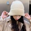 Casual Elastic Fashion Winter Women Hat Knitted Hat Solid Color Korean Style Beanies