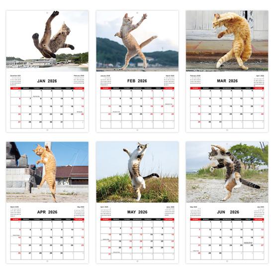 2026 Calendar January 2026 - December 2026 12 Monthly Planner Kung Fu