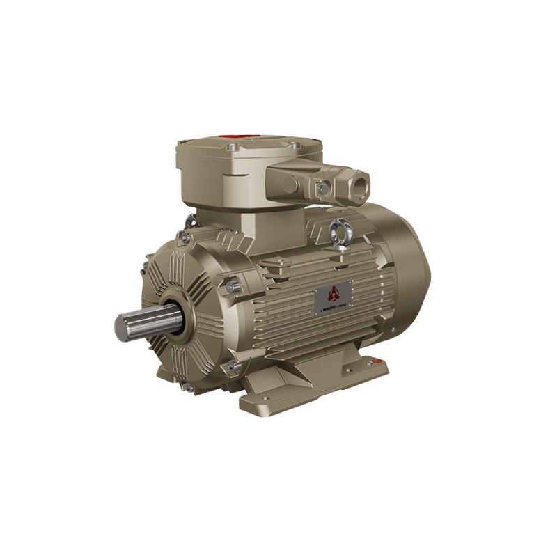 Wolong Nanyang IE4 Three-Phase Asynchronous Motor with Full Copper Winding, Low-Voltage High-Efficiency.