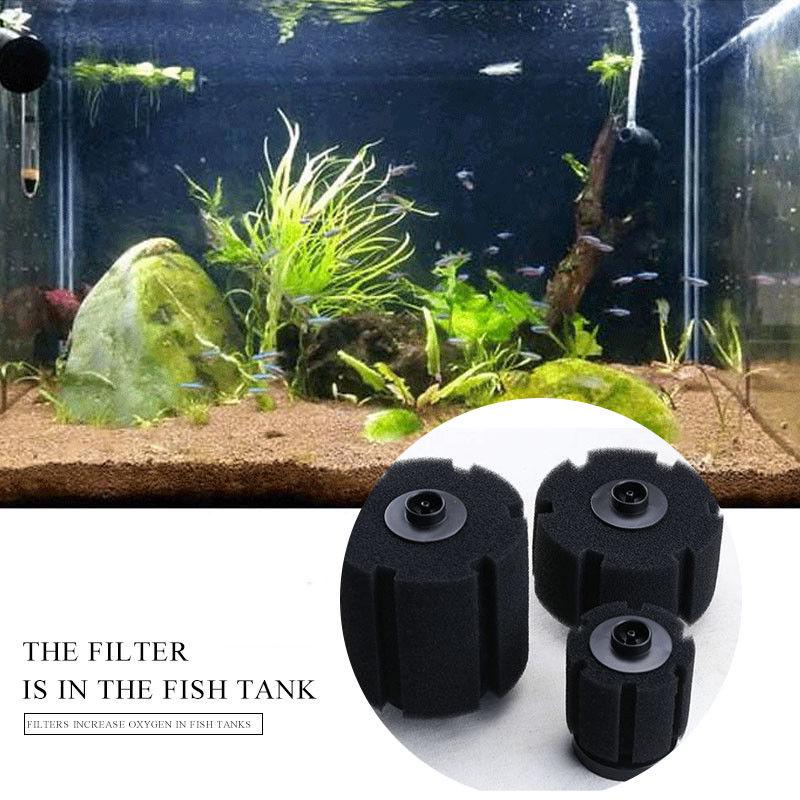 XY-380 Biochemischer Schwammfilter Für Aquarien – 10,2 Cm, Mechanische & Biologische Filtration