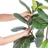 Artificial Fiddle Leaf Fig Tree, 5 FT, Secure PE Material & Anti-Tip Tilt Protection Low-Maintenance Faux Plant, Lifelike Green Fake Potted Tree for