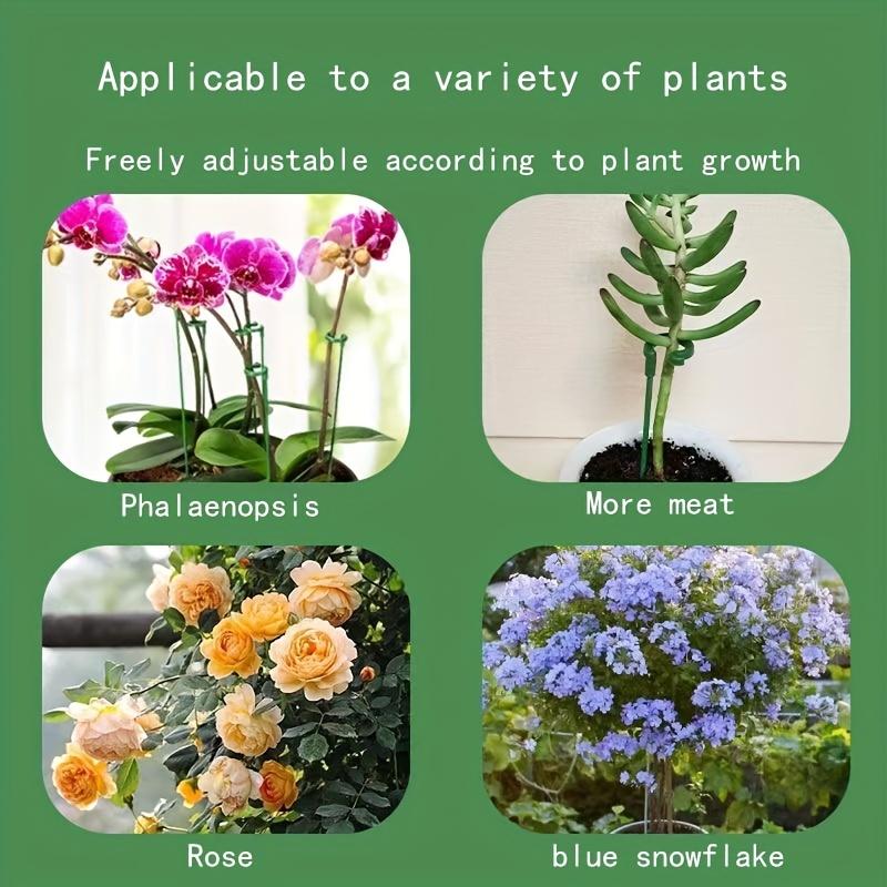 Pachet de 10 Tutori de Plante din Plastic și Fibră de Sticlă - Bastoane Verzi de Grădină pentru Orhidee, Plante de Interior la Ghiveci și Flori - Suporturi Durabile Rezistente la Îndoire