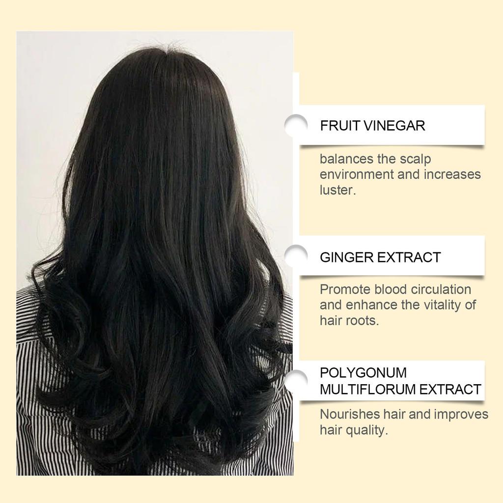 Hoegoa Black Ab Hair Color Treatment Set With Nourishing Plant Extracts For Smooth Shine