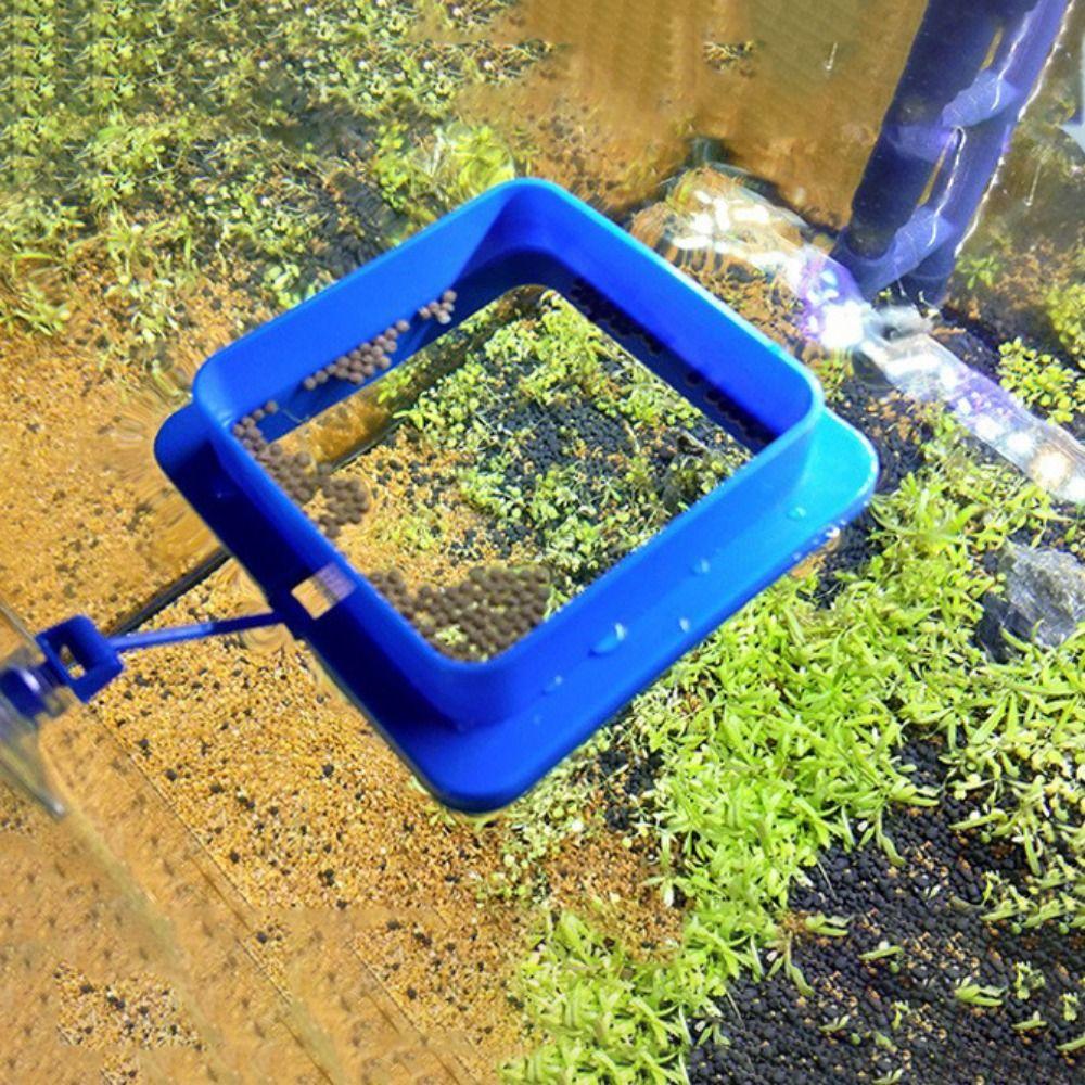 Suction Cup Floating Feeding Ring Thicken Floating Food Tray Fish Food Feeder  Aquarium