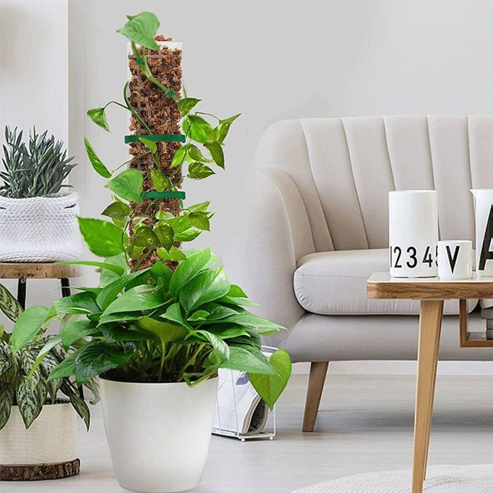 Moss Stick Height Adjustable Moss Pole Transparent Weather Resistant Water Moss Column Plastic 24 Inch Plant Support Garden