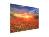SZKLANA DESKA DO KROJENIA 40x30 MAKI