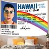 Funny Hawaii Driver License Tapestry Flat Print Rainbow Id Card Wall Hanging For College Dorm Room Decor Meme Humor Poster