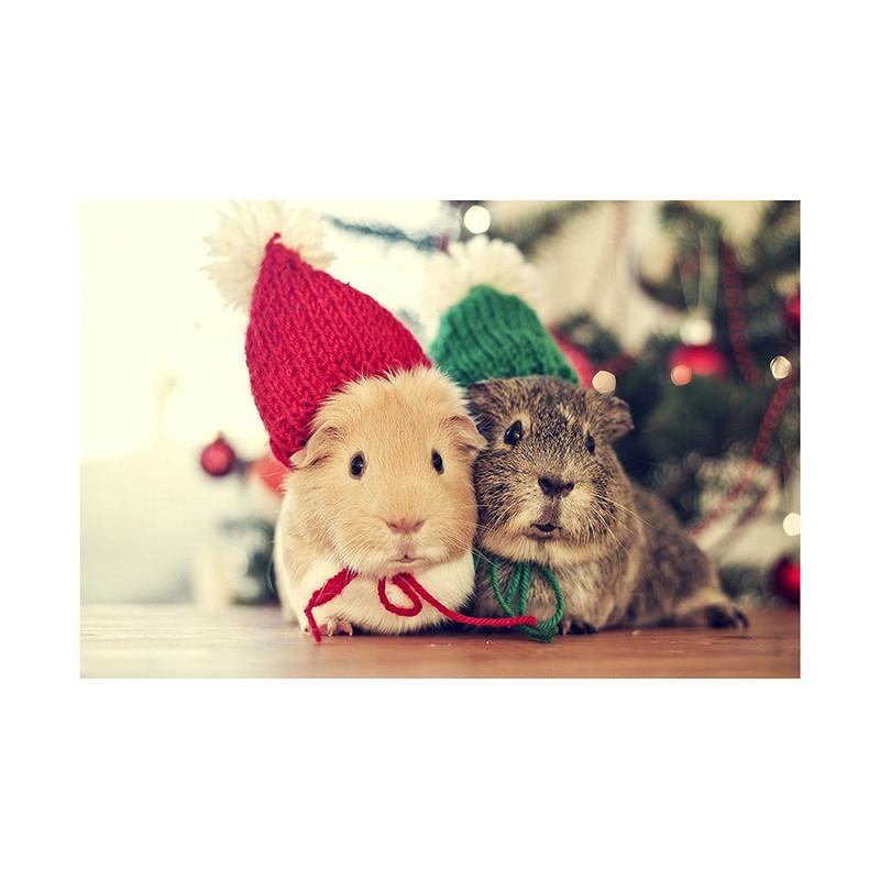 Pet Themed Christmas Photography Backdrop,Party Banner,Wall Decor,for Parties Backdrops,Holiday Decor,Photo Studio