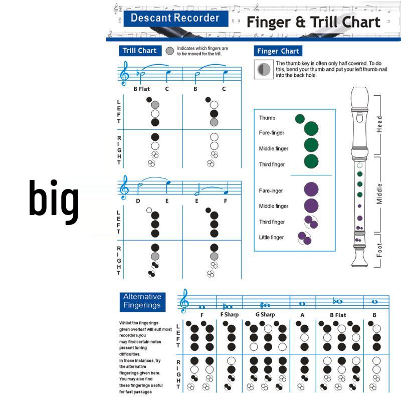 

8-Hole Bass Recorder Fingering & Chord Practice Chart