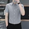 Pierre Cardin Men's Summer Wrinkle-Free Short Sleeve Business Casual Shirt