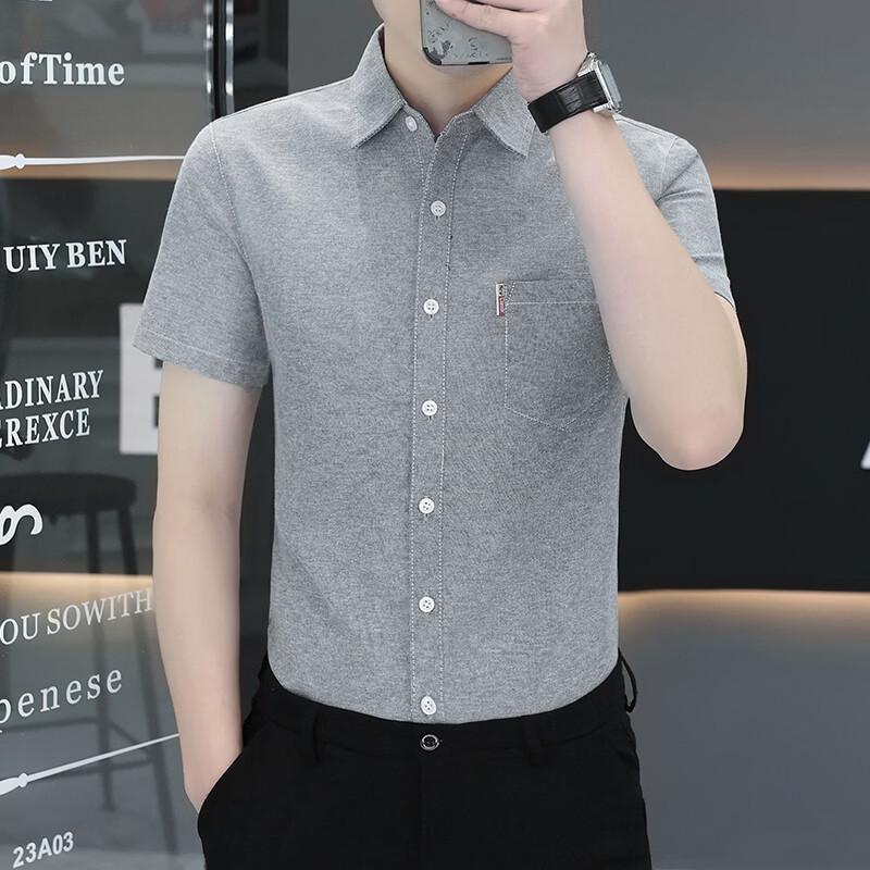 Pierre Cardin Men's Summer Wrinkle-Free Short Sleeve Business Casual Shirt