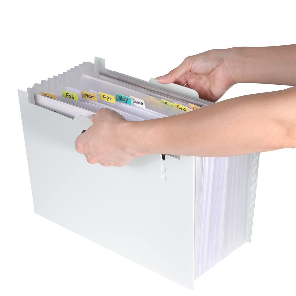 Tumosando Document Thickened Foamed 13 Accordion with Divider Large Document Storage Expandable File Stand, Horizontal/Vertical, PP, Pockets, File,
