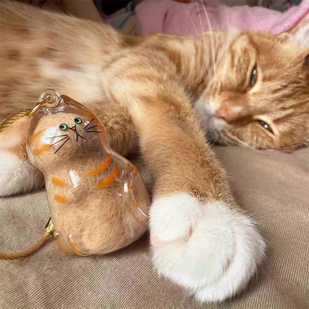 

Cute Kitten Cat Hair Storage Pendant Creative Transparent Cat Hair Storage Storage Box Pet Hairball Keychain
