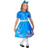 Matilda Childrens/Kids Deluxe Dress Set