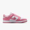 Nike Dunk Low Women's Casual Shoes