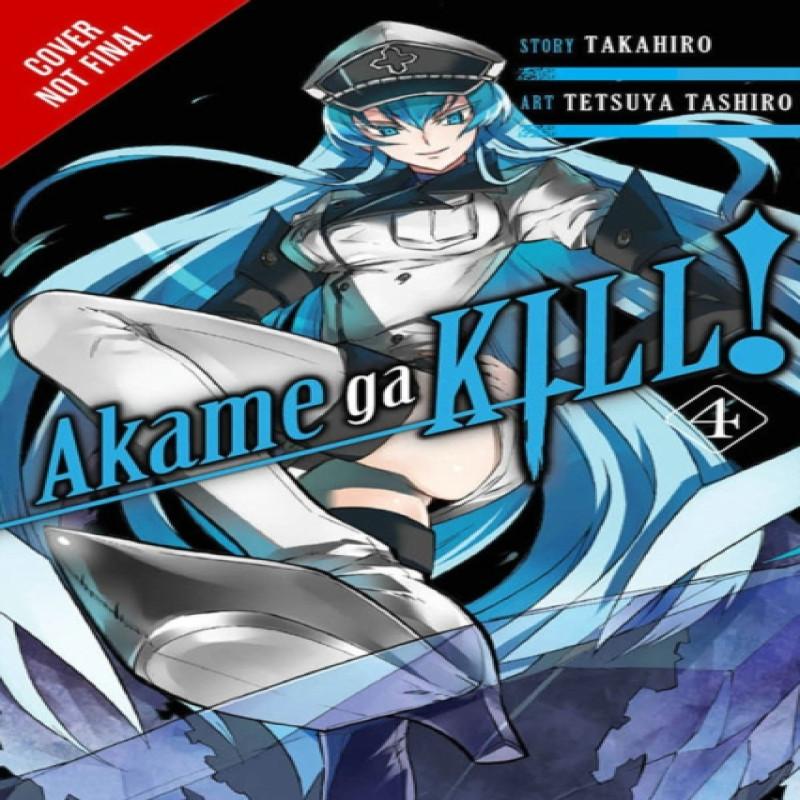 Akame Ga Kill Vol. 4 by Tetsuya Tashiro Paperback Book 9780316340052