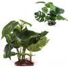 Cutie Reptile Monstera Simulat Frunze Solubile Acvariu Plante de Apă Ornamente