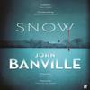 Snow by John Banville Paperback Book 9780571362707