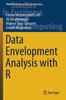 Libro Data Envelopment Analysis with R : 386