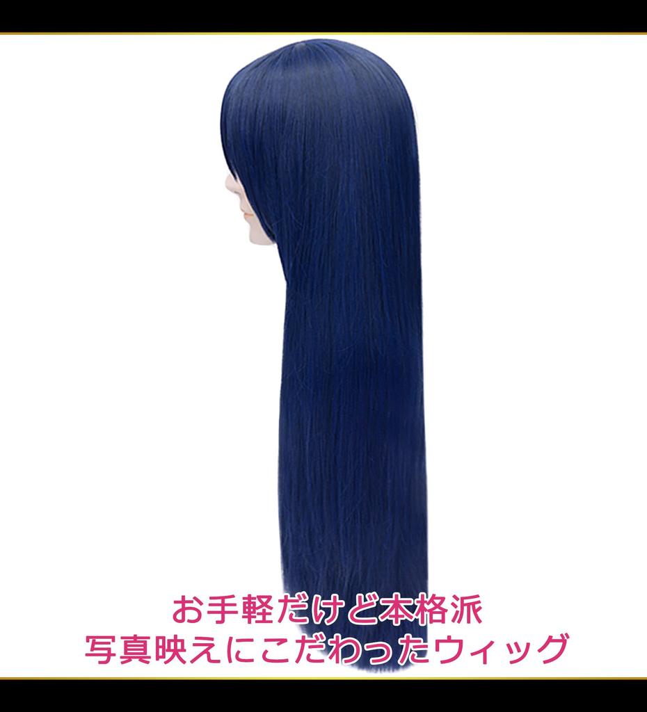CaseEden Cosplay Wig, Premium Smooth Long 80cm Heat-Resistant Blue-Black (WIG6181)