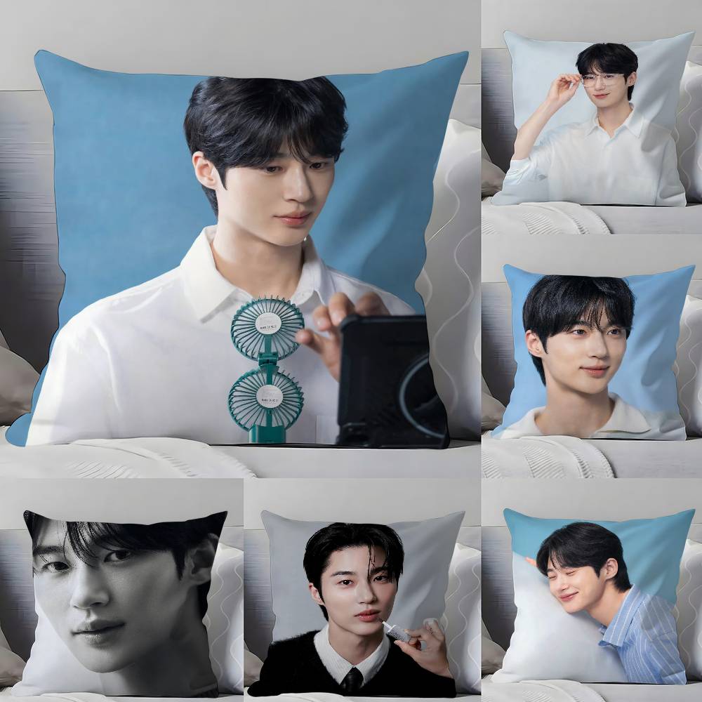Fine Glasses Unisex B-B-Byeon W-W-Woo-Seok Pillow Case Pillowcase Soft Skin Friendly & Comfortable With A Hidden Zipper