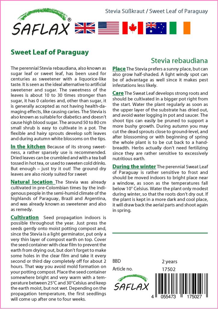 SAFLAX Sweet Leaf of Paraguay - 100 semen - Se substrátem pro lepší pěstování - Stevia rebaudiana