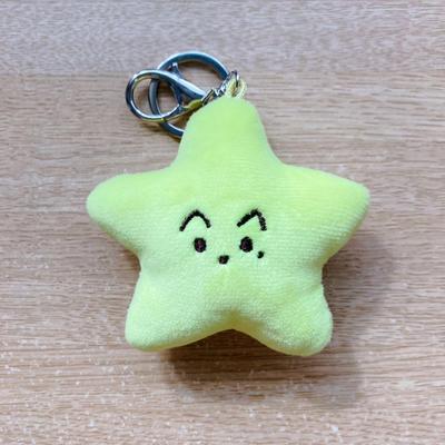 Used nct127THE UNITY MD Starfish Keyring Mark Official Product