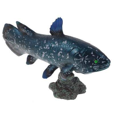 Coleccionables y modelos – Modelos