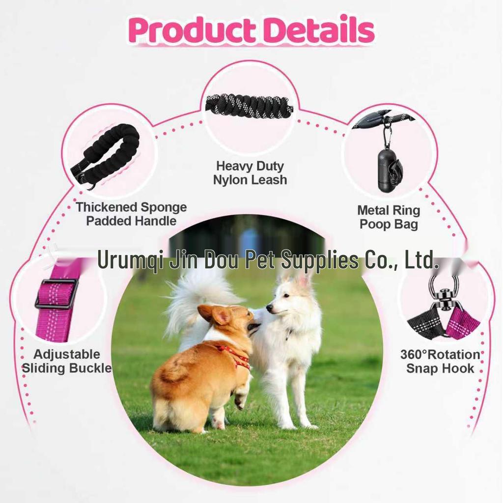 Automatic Retractable No-Choke Dog Leash for Walking Two Dogs