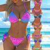 2026 European and American Split Leopard Print Bikini Print Fashionable Sexy Backless Swimsuit Suit Women