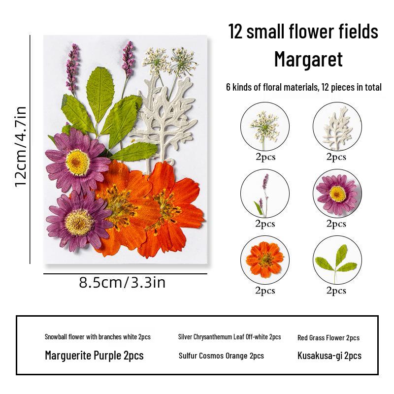 DIY Dried Flower Specimen Sticker Set for Kids: Handmade Pressed Flower Frames & Resin Bookmark Craft Kit