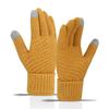 Touch Screen Gloves Winter Warm Knitted Velvet Thickened Windproof Cycling Men and Women Cold-proof Wool Simple Gloves