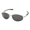 CAPTAIN STAG Men's Polarized Sunglasses, Stainless Steel, Smoke, with Case, CSP-002-3-EH-72