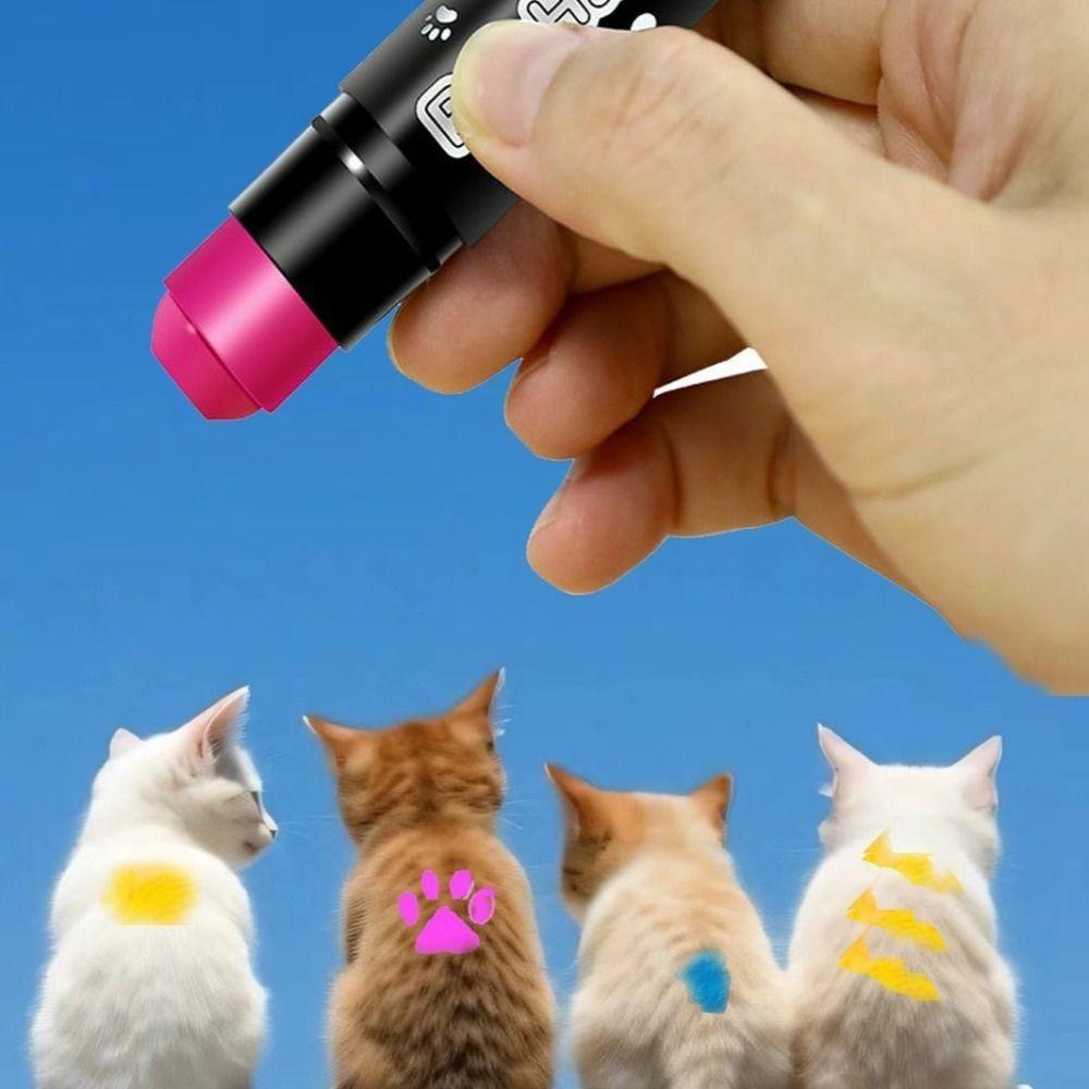 6 Farben Haarfärbemittel für Haustiere Wasserlöslich Lebendige Farben Waschbar Schnelltrocknend Ungiftig Haarfärbestift für Hund Katze