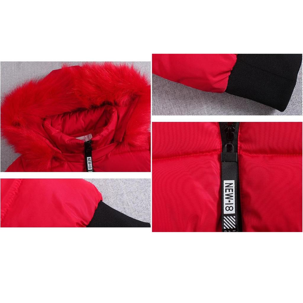 Women's Autumn and Winter Cotton Coat New Short Cotton Coat Slim Thickened Large Fur Collar Small Man Cotton Coat