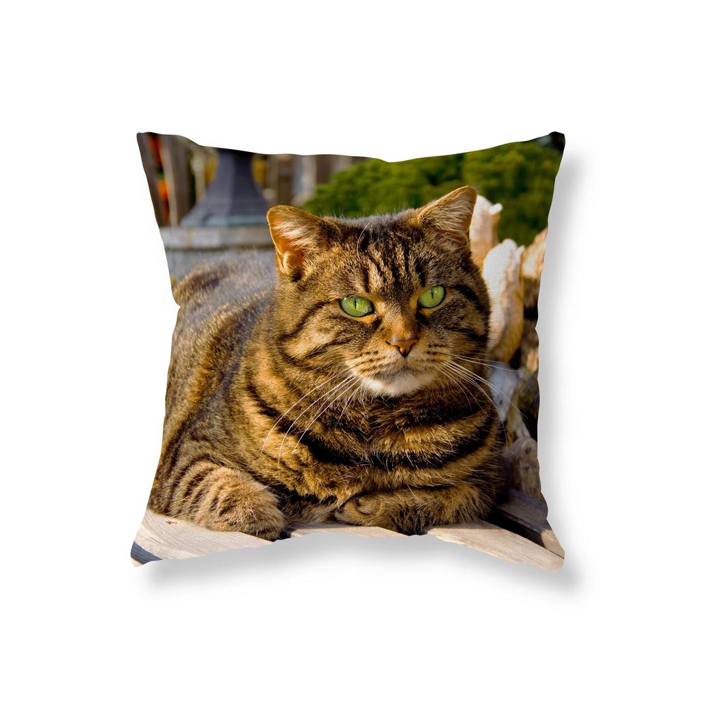 Cute Funny Black Cat Pillowcase   Sofa Car Decoration Office Game Chair Cushion Cover Room Home