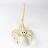 Halloween Decoration Mini Skeleton Bone Statues Poseable Rat Dog Spider Cat Owl Skeleton Figurine for Haunted House Party Decor