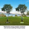 Tree Support Strap for Staking Heavy Duty Tree Strap Protects Newly Planted Sapling from Wind Damage Reusable Tree Strap for Straightening Guying