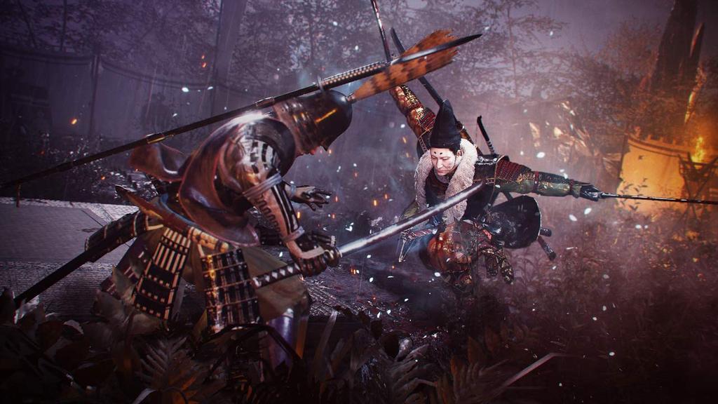 Nioh 2 PS4 theme be obtained or used due to expiration date Cannot