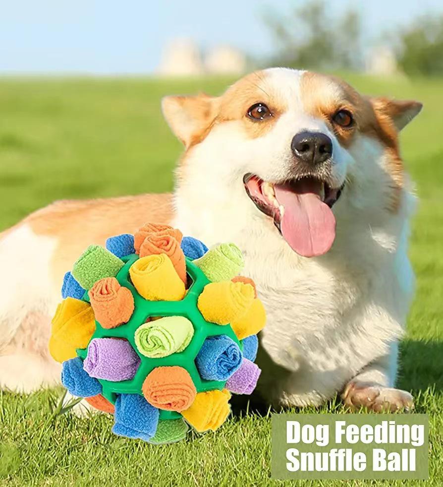 QQ Bouncy Rainbow Sniffing Ball: Interactive Foraging and Training Toy for Cats and Dogs