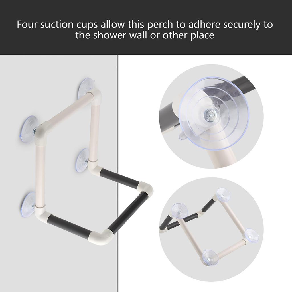 Portable Parrots Birds Perch with Suction Cups Window Shower Bath Wall Plastic Standing Toy