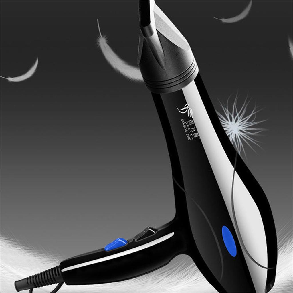Household Hair Blow Dryer 2200W Black Heat Blower Dryer Beauty Salon Portable Hair Blow