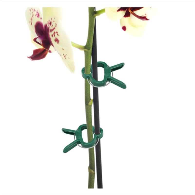 20pcs Plant Fixed Clips Reusable Weatherproof Flower Vine Tomato Support Clip Garden Tool