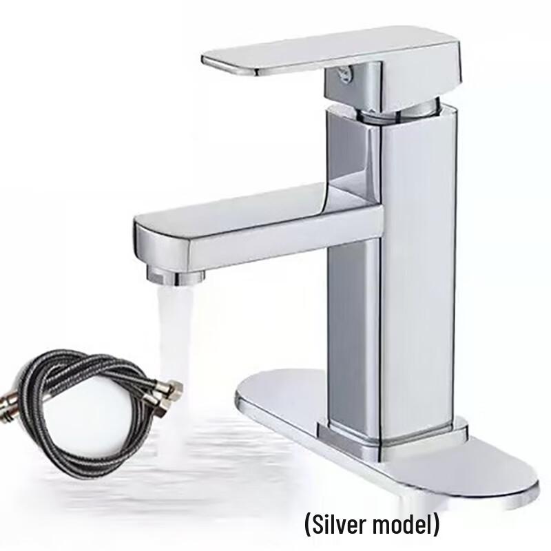 Danle Stainless Steel Hot & Cold Basin Faucet