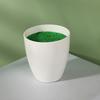 Simulation Ceramic Oval And Square Plastic Flower Pots For Small Foliage And Desktop Decor